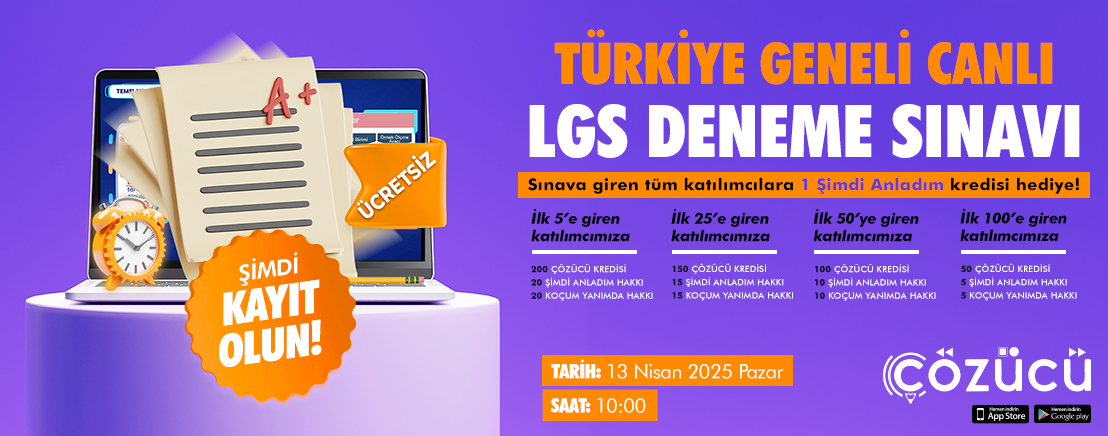 13 Nisan 2025 LGS Denemesi